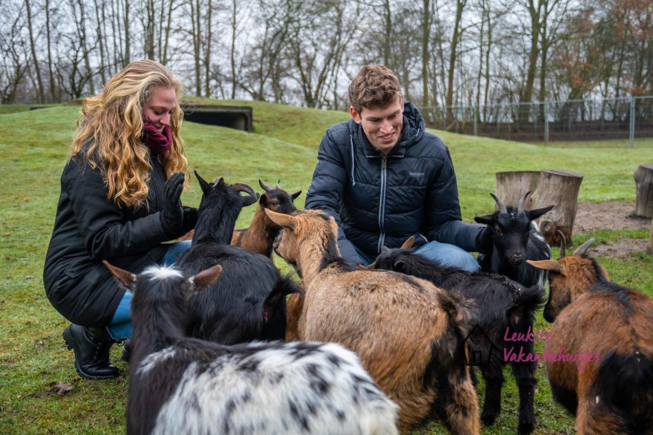 Het Familie Boshuisje - Vakantiewoning Op Prachtig Park Met Veel Faciliteiten Inc Ligbad Gramsbergen Buitenkant foto