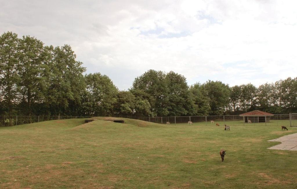 Het Familie Boshuisje - Vakantiewoning Op Prachtig Park Met Veel Faciliteiten Inc Ligbad Gramsbergen Buitenkant foto